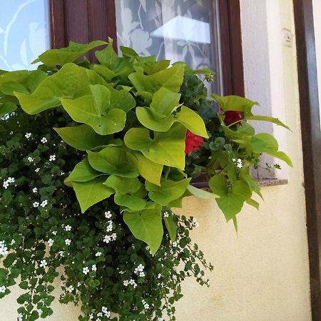 Hotel House Josipa Rakovica Exterior foto